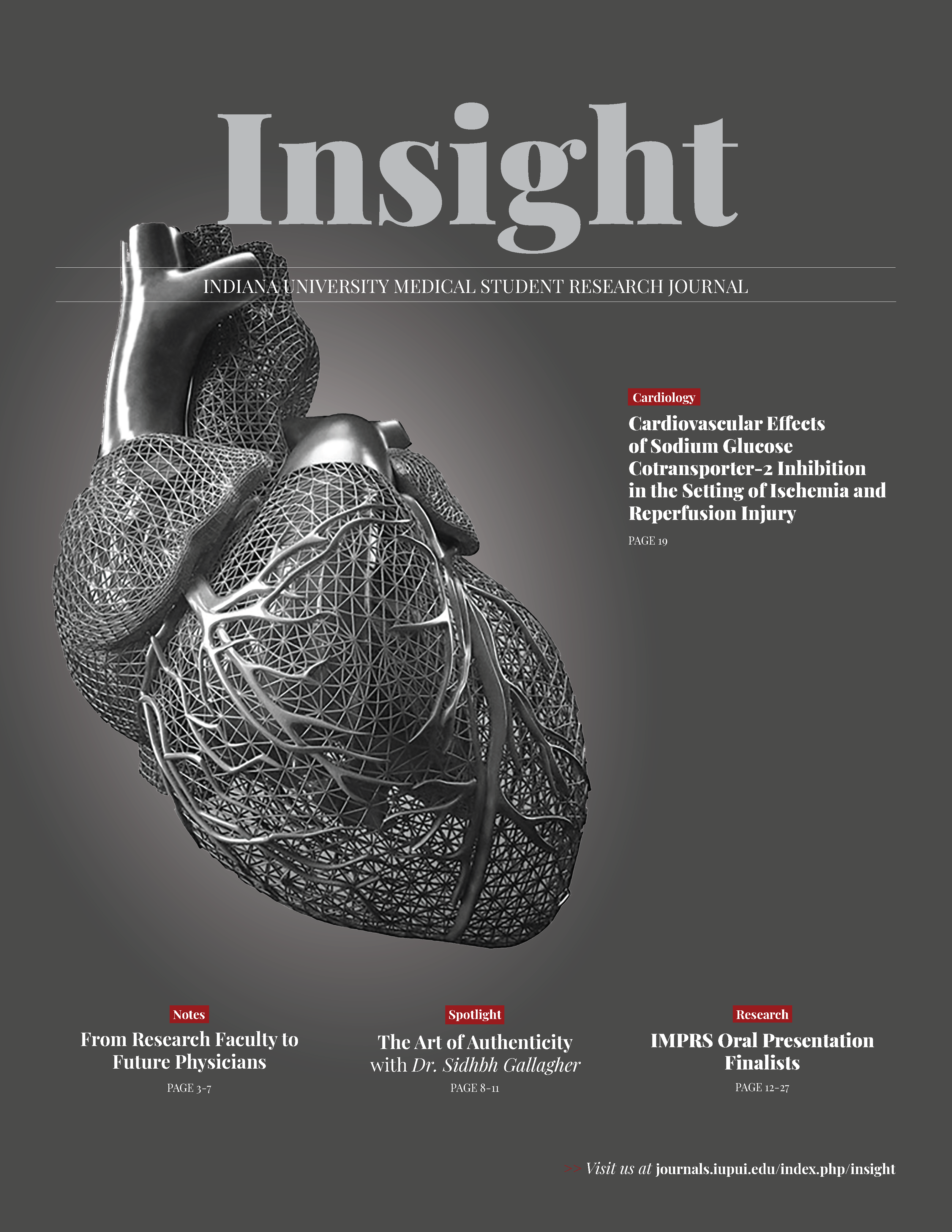 Insight cover