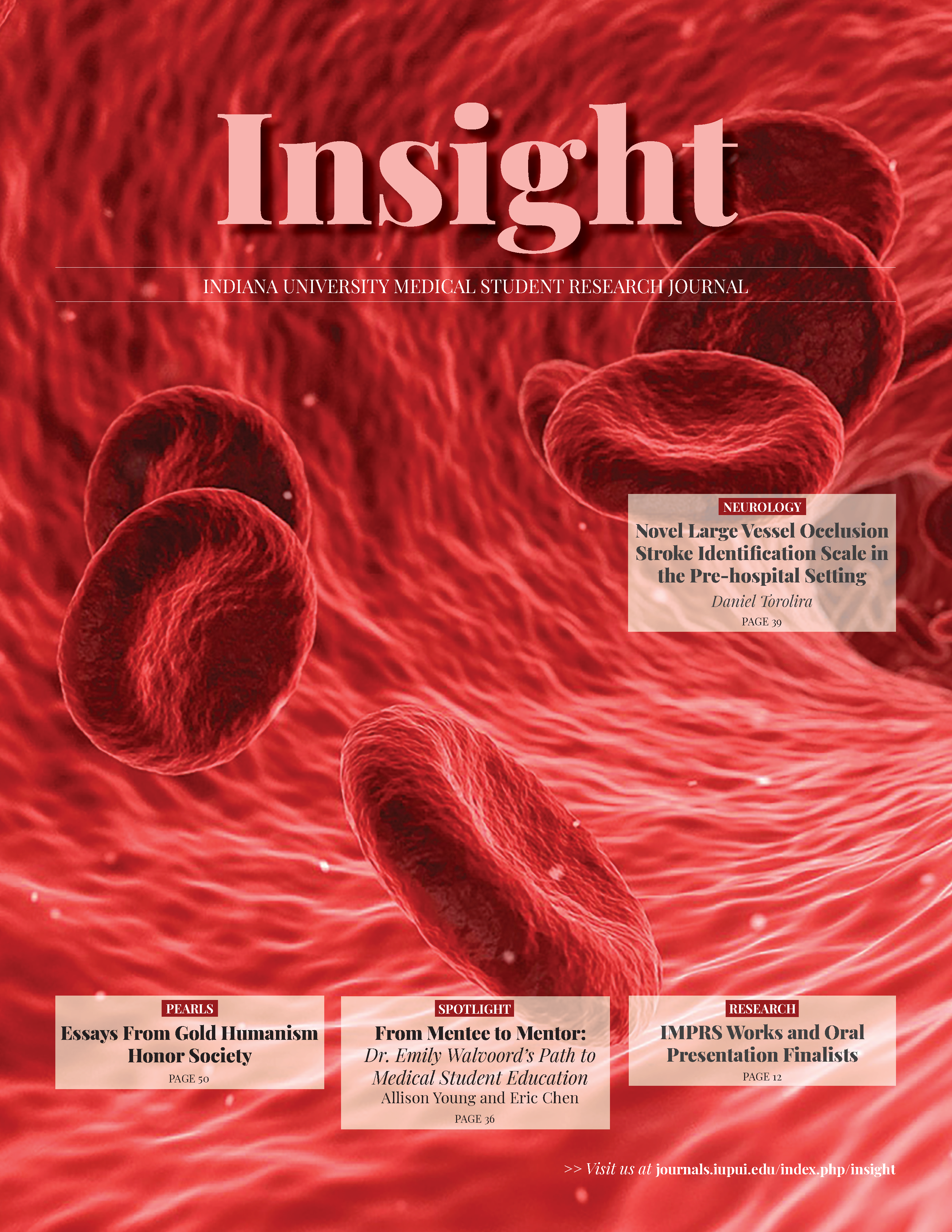 Insight cover